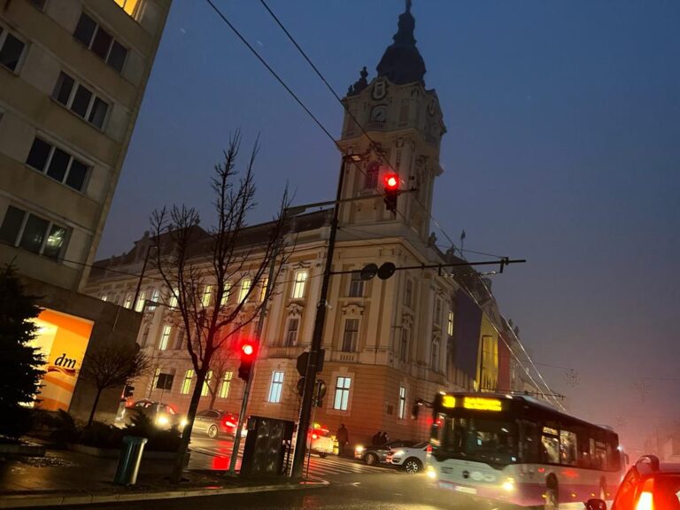 Primăria Cluj-Napoca anunță cum se depun cererile pentru tichete sociale pe suport electronic în cadrul Programului social ”Alimente”