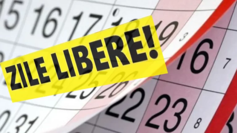 Finalul lunii ianuarie le aduce angajaţiilor la stat o nouă minivacanţă