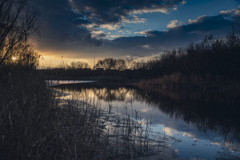 15 asociații propun ca ariile naturale urbane să se poată desemna, indiferent de destinația terenului și de deținător, și pe proprietatea publică sau privată a statului, precum și pe proprietate privată, cu acordul proprietarului.