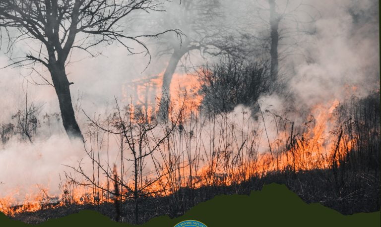 ISU Cluj: Peste 900 de incendii de vegetație uscată anul trecut. Sfaturile pompierilor. Atenție la amenzi