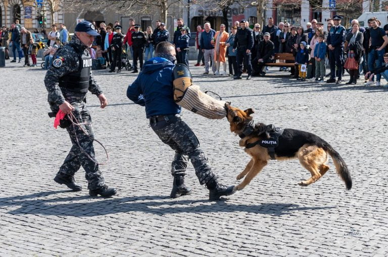Ziua Poliției Române, sărbătorită în Piața Unirii cu ”mascați” și câini polițiști