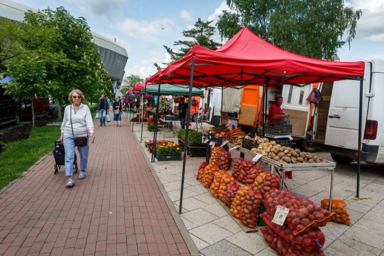 Ziua Recoltei la Cluj-Napoca, pe platoul Sălii Sporturilor ”Horia Demian”