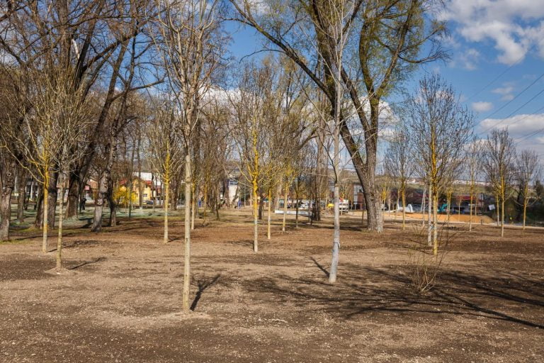 FOTO/ Boc, despre Parcul Armătura: Investiția se ridică la 3,6 milioane de euro, se plantează 205 arbori