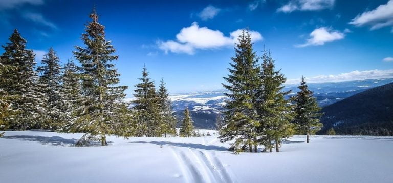 Comuna Săcuieu, în competiția ”Destinația turistică 2023” în România. Se face domeniu schiabil la Vlădeasa