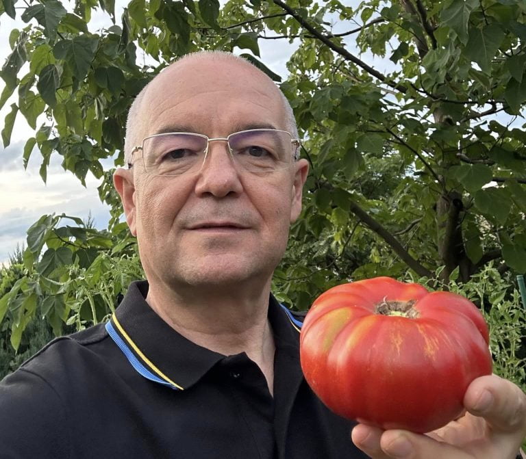 FOTO/ Fermierul Emil Boc. A cultivat și cules roșii în grădina proprie. Și piersici