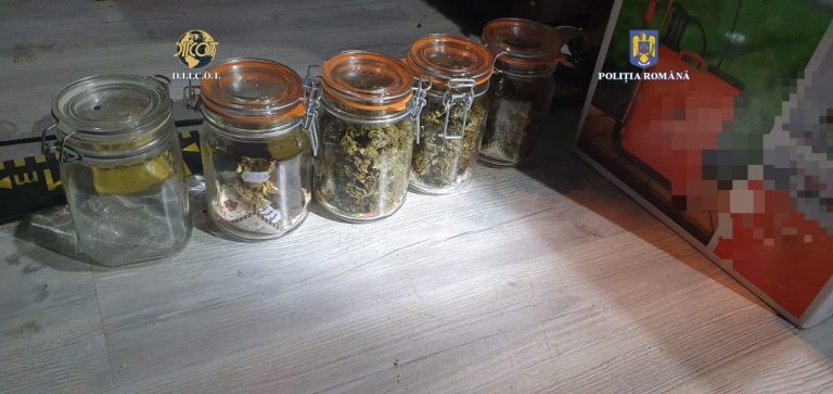 FOTO/ Traficant de droguri, arestat la Cluj. A înființat o cultură de cannabis
