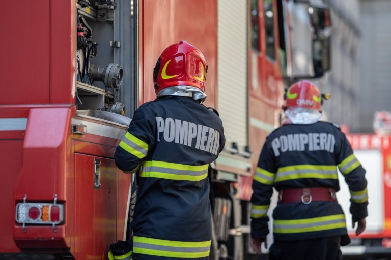 Incendiu la o fermă din localitatea Lita, peste 600 de porci au ars de vii