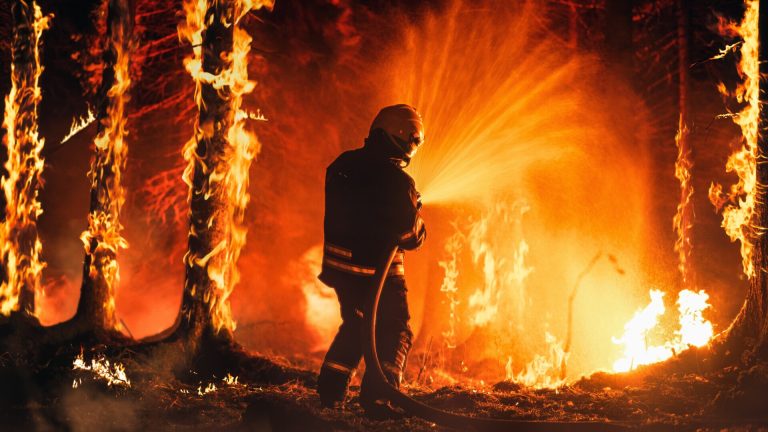 Canada e devastată de incendii de pădure și vegetație