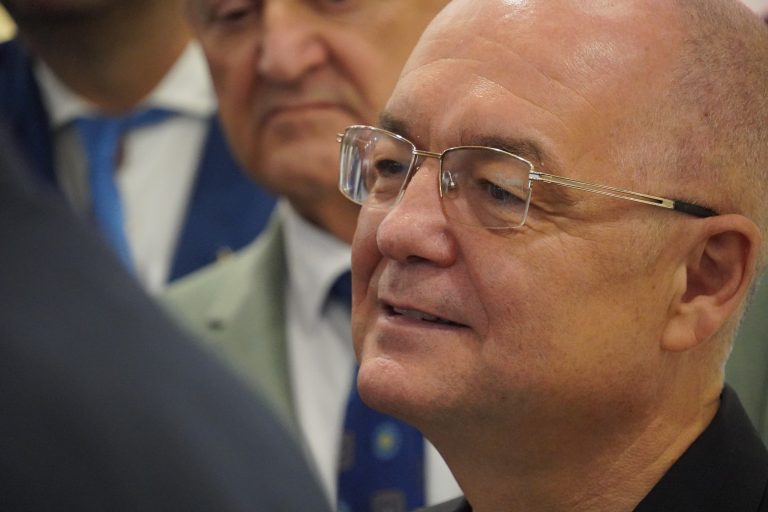 VIDEO | Emil Boc despre Sabin Sărmaș: „Un candidat fals susținut de PSD”