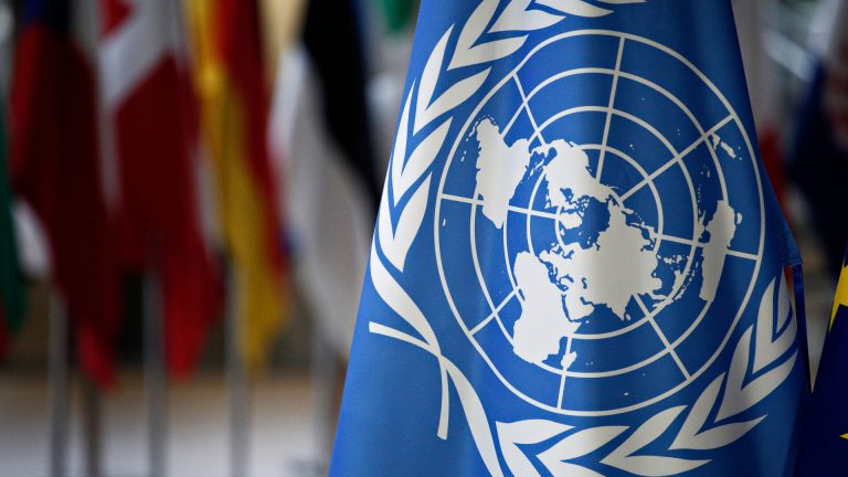 ONU respinge propunerea lui Putin privind o administrație temporară în Ucraina