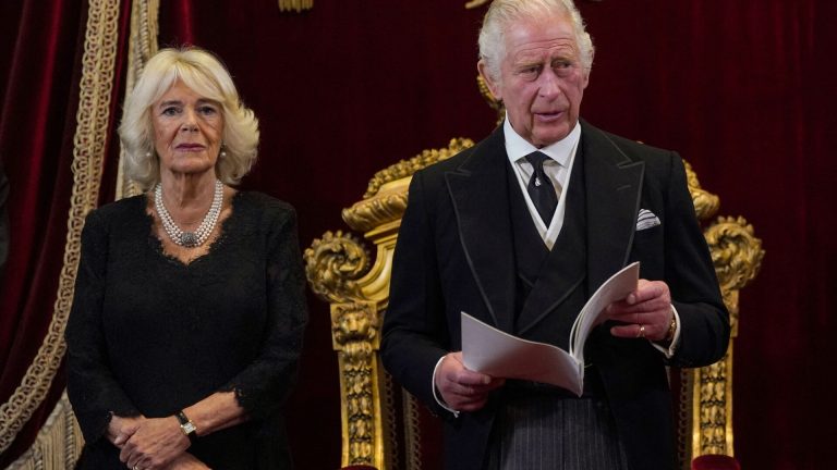 Regele Charles al III-lea și Regina Camilla se vor întâlni cu Papa Francisc în aprilie, la Vatican