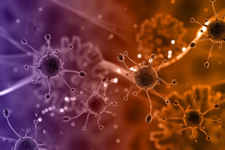 Cancerul cauzat de virusuri – prevenție prin vaccinare și diagnostic precoce, în centrul unei noi strategii naționale