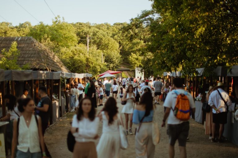 IARMAROC la Sat: Căldura verii nu i-a oprit pe clujeni să participe la Festivalul Creației și Artelor