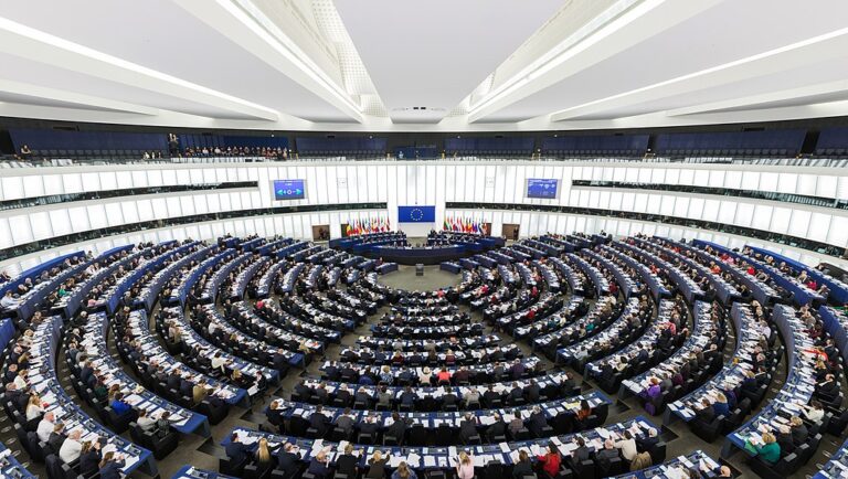 Parlamentul European introduce mecanisme de protecție pentru agricultorii UE, înainte de aplicarea acordului cu Mercosur