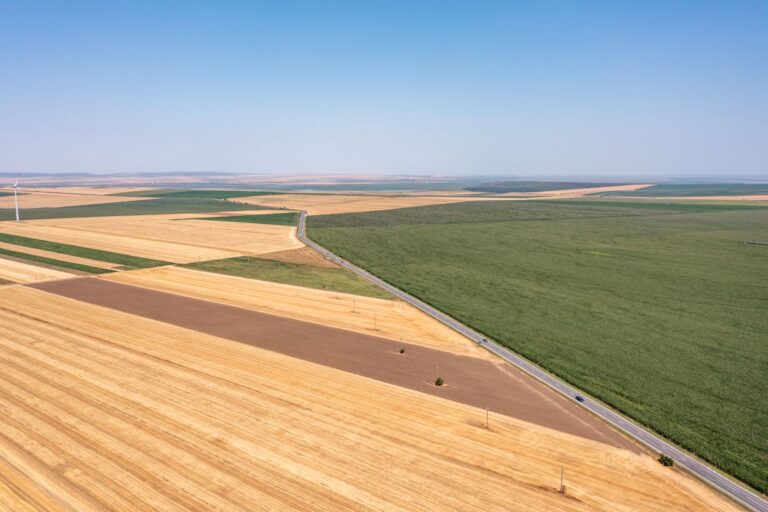 AUR propune reducerea cu până la 100% a impozitului pentru terenurile agricole lucrate de micii gospodari