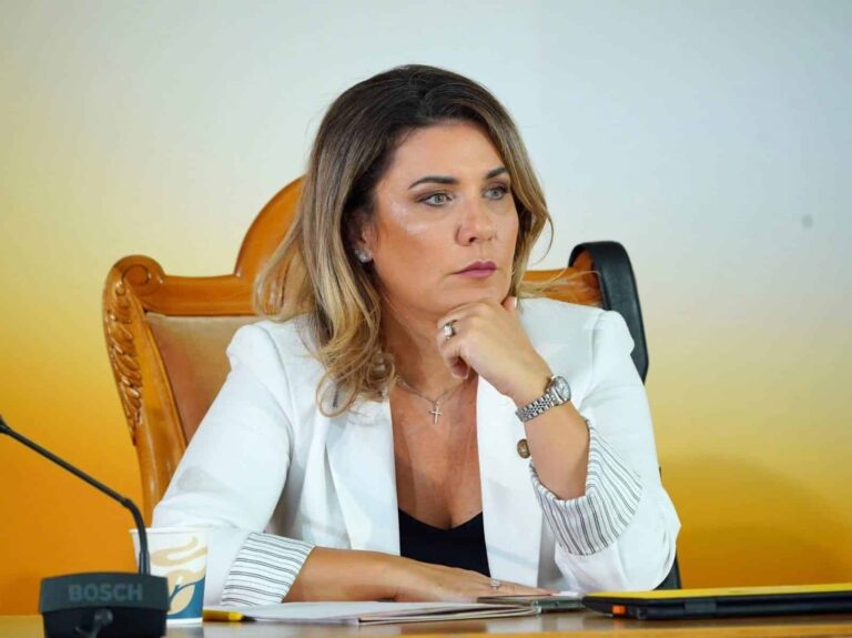 Geanina Șerban: „Taxarea inversă poate reduce frauda de miliarde din TVA”. Gabriel Biriș susține măsura: „Evaziunea de tip carusel trebuie eliminată”