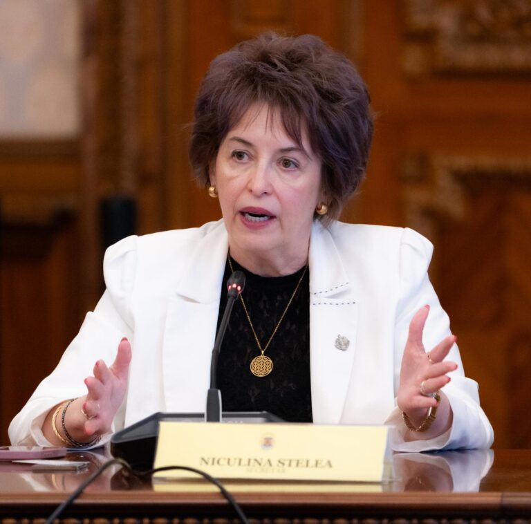 Niculina Stelea (senator AUR): „Nicușor Dan are interese să continue practica urbanismului prin derogare”
