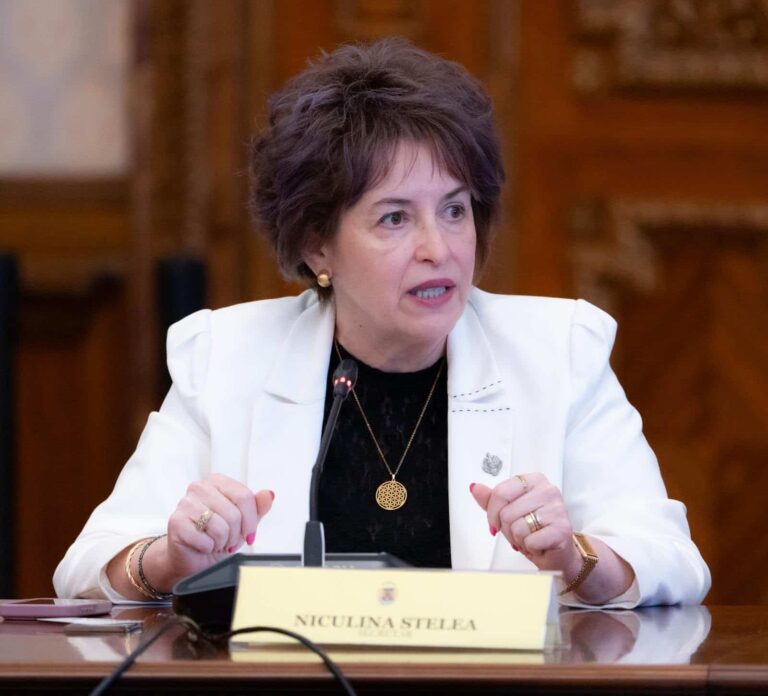 Niculina Stelea (senator AUR):„În acest moment, România este o țară care funcționează din inerție. Instituțiile sunt paralizate de absența factorilor de decizie”