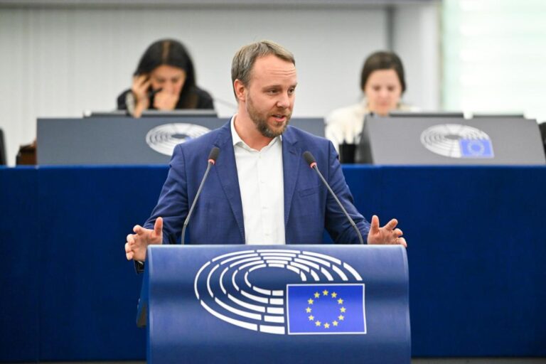 Eurodeputat german: Fondurile UE ar putea fi blocate dacă un guvern AfD încalcă valorile europene